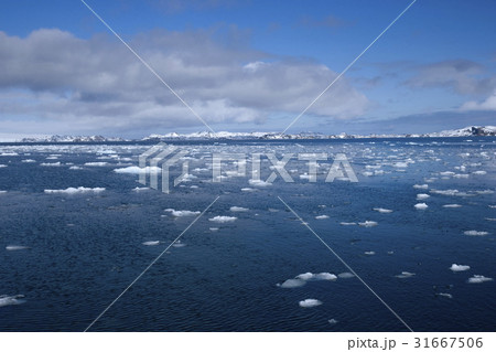 南極 海 氷山 31667506