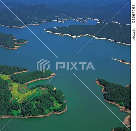 大清湖 忠清北道 韓国 31667595