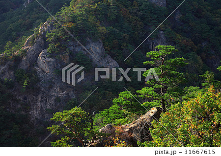 江原道 国立公園 万景台 31667615