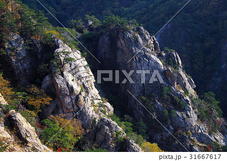 万景台 岩 石 31667617