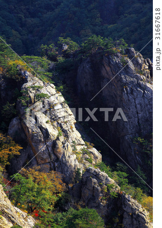 万景台 岩 石 31667618