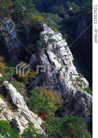 万景台 岩 石 31667621