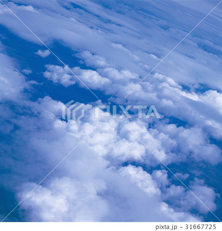 雲 雲の背景 雲海 31667725