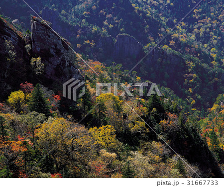 秋 江原道 国立公園 31667733