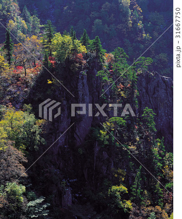 秋 国立公園 紅葉 31667750