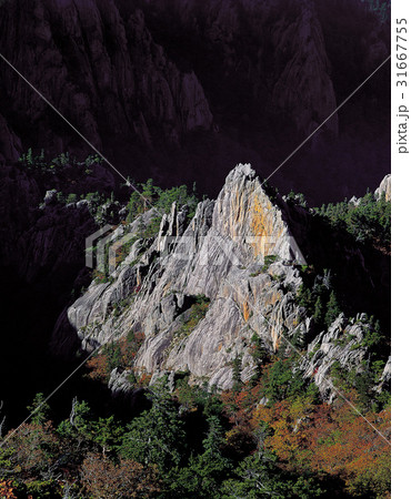 岩 石 グー 31667755