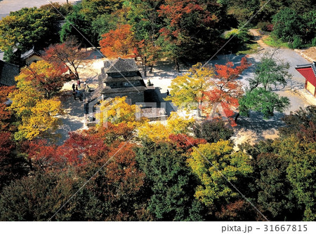 国宝 芬皇寺石塔 韓国 31667815