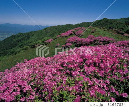 バレボン 自然 智異山 31667824