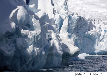 南極 海 氷河 31667842