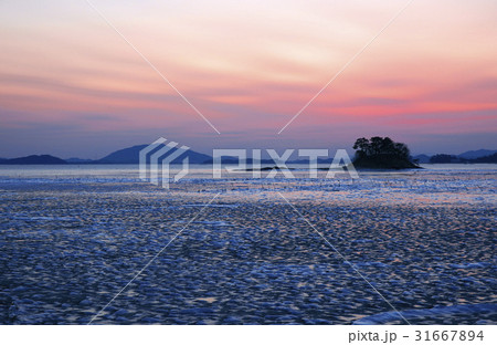 干潟 南海 順天湾 31667894