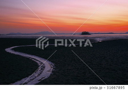 干潟 南海 順天湾 31667895