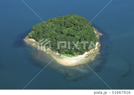 島 莞島郡 主導 31667916