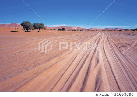 ナミブ ナミビア 砂漠 31668080