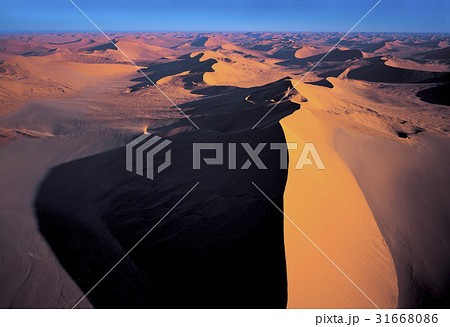 ナミブ ナミビア 砂漠 31668086