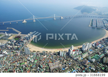 広安大橋 海 釜山 31668199