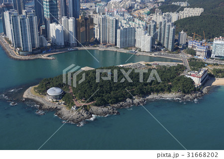 椿島 釜山 韓国 31668202