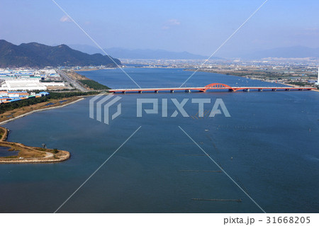 釜山 立って洛東江 信号大橋 31668205