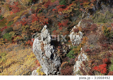 紅葉 霊室奇岩 済州島 31668492
