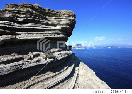 山房山 松岳山 自然 31668515