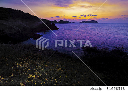 島 済州島 遮帰島 31668518