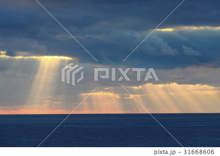 水平線 自然 済州島 31668606