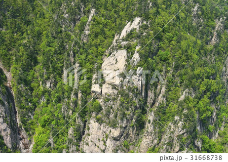 江原道 雪岳山 崖 31668738