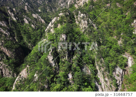 江原道 山 雪岳山 31668757