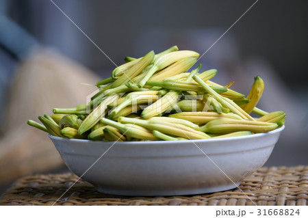 金の鈴 金針菜 ニッコウキスゲ 31668824