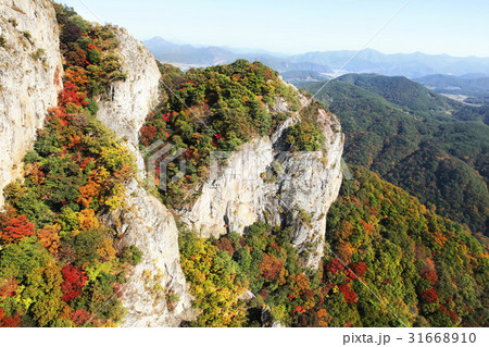 秋 ベクアムサン ベクハクボン 31668910