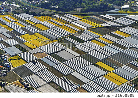 慶北 金泉市 田畑 31668989