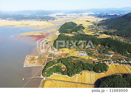 田畑 順天湾 順天市 31669009