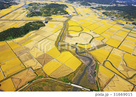 田畑 順天市 全羅南道 31669015