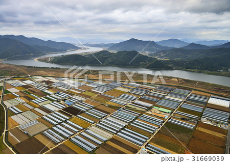 川 河 ビニールハウス 31669039