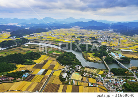 川 河 木 31669040