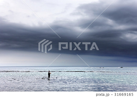 雲 海 海釣り 31669165