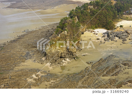 安眠島 忠南 韓国 31669240