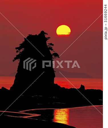 コッチ 安眠島 忠南 31669244