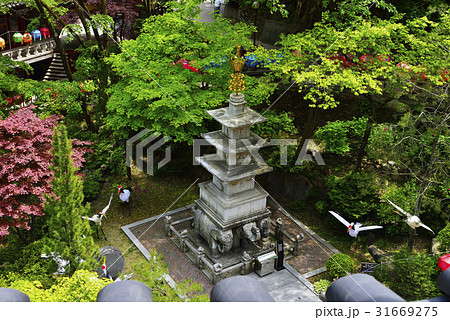 グインサ 丹陽郡 舎利 31669275