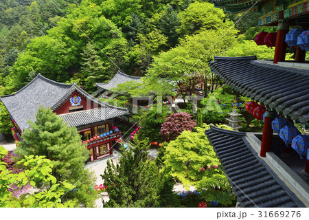グインサ 小白山 風景 31669276