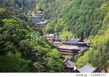 古建築 丹陽郡 風景 31669277