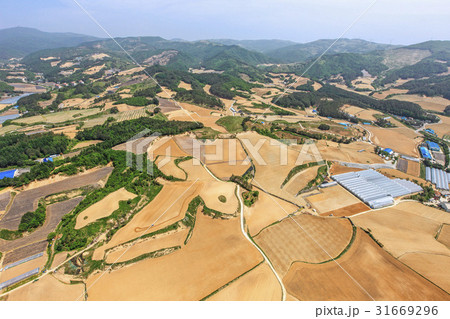 江原道 田畑 山 31669296