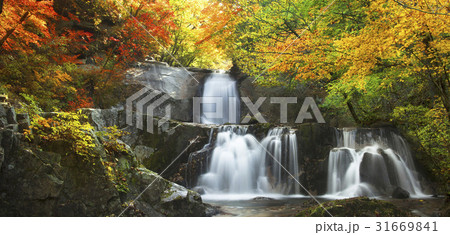 紅葉 バンドンの谷 異端の滝 31669841