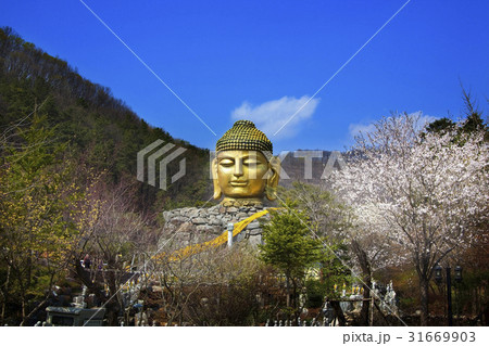 仏頭 すごい情事 龍仁市 31669903