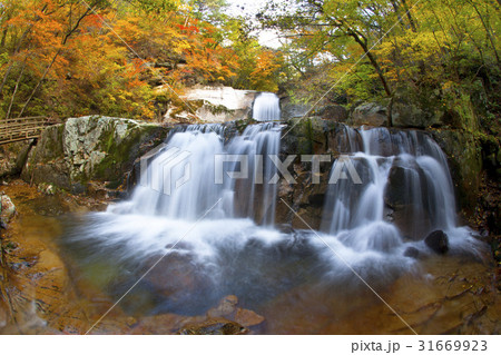 江原道 バンドンの谷 バンテサン 31669923