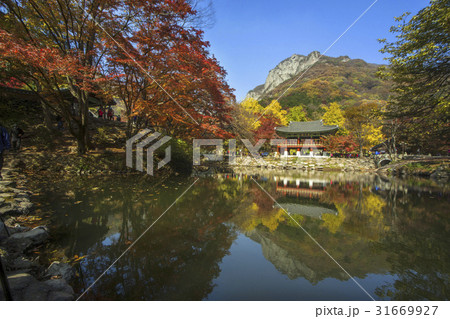 白羊寺 サンギェル 韓国 31669927