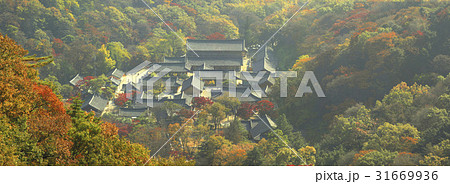 紅葉 ベクアムサン 白羊寺 31669936