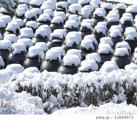 冬 かめ つぼ 31669973