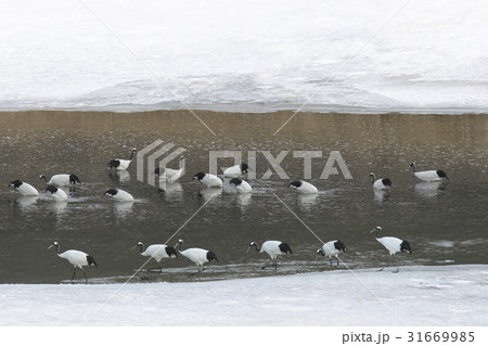 川 河 江原道 31669985