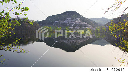 瑞山市 用おから 忠南 31670012