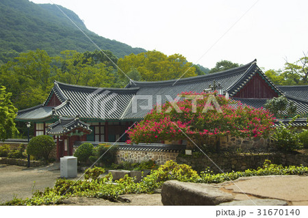 ベロン木 ソンブルジャン 禅雲寺 31670140